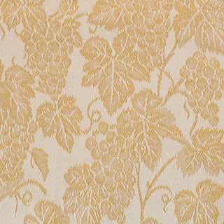 CANAIOLA - GREMBIULE