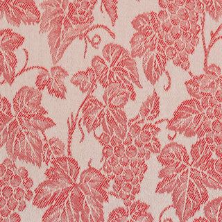 CANAIOLA - GREMBIULE