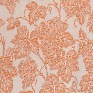 CANAIOLA - GREMBIULE