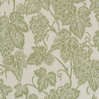 CANAIOLA - GREMBIULE